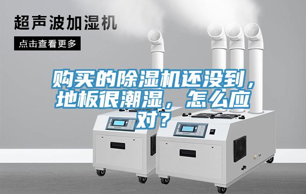 購買的小黄片软件免费下载還沒到，地板很潮濕，怎麽應對？