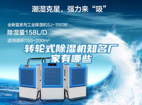 轉輪式小黄片软件免费下载知名廠家有哪些