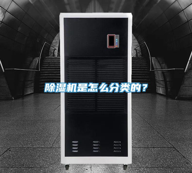 小黄片软件免费下载是怎麽分類的？