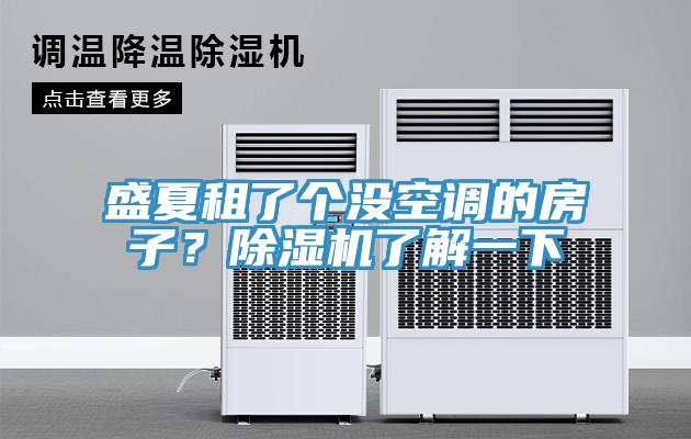 盛夏租了個沒空調的房子？小黄片软件免费下载了解一下
