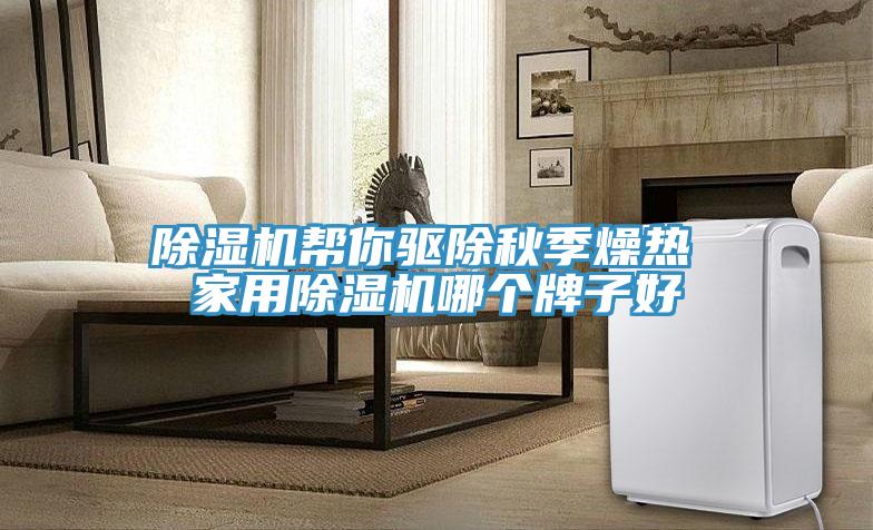 小黄片软件免费下载幫你驅除秋季燥熱 家用小黄片软件免费下载哪個牌子好