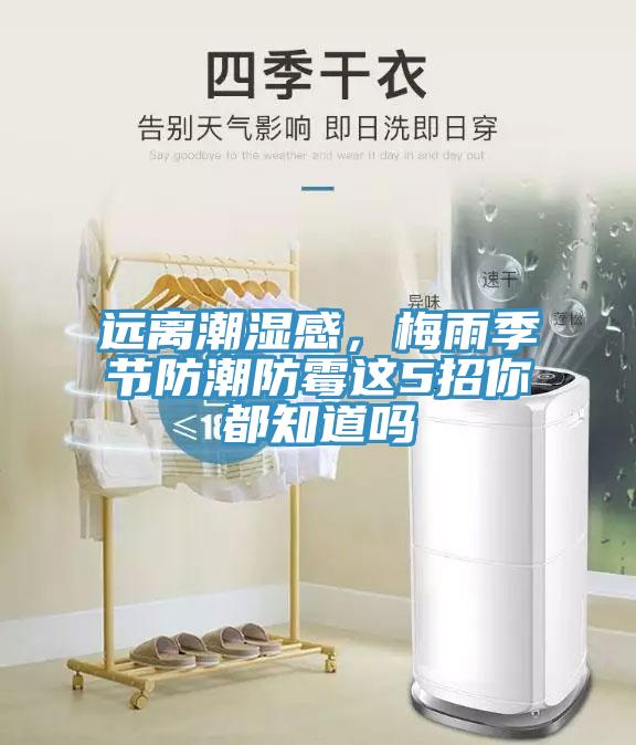 遠離潮濕感，梅雨季節防潮防黴這5招你都知道嗎