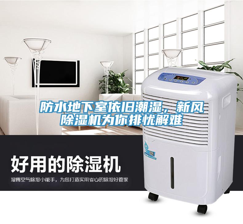 防水地下室依舊潮濕，新風小黄片软件免费下载為你排憂解難