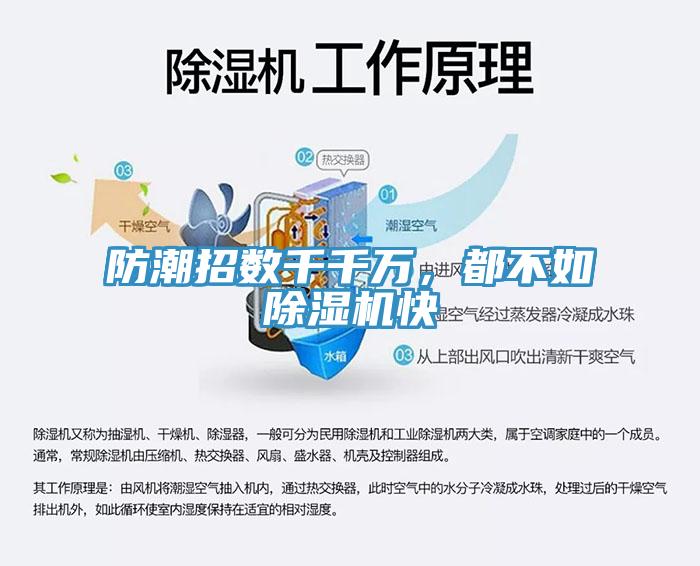 防潮招數千千萬，都不如小黄片软件免费下载快