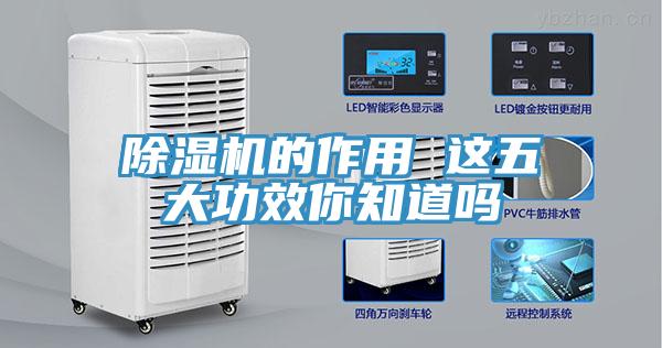 小黄片软件免费下载的作用 這五大功效你知道嗎