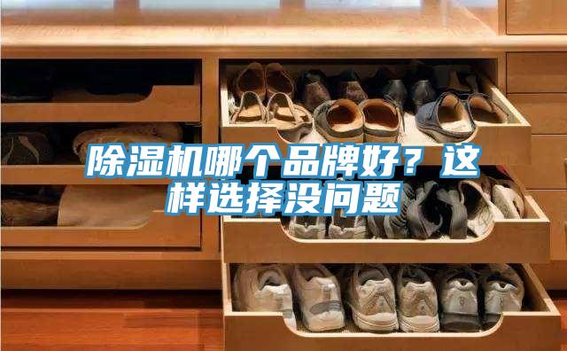 小黄片软件免费下载哪個品牌好？這樣選擇沒問題