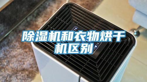 小黄片软件免费下载和衣物烘幹機區別