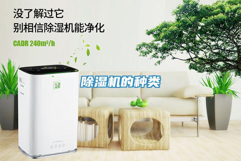 小黄片软件免费下载的種類
