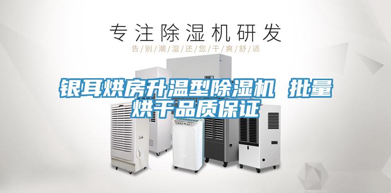 銀耳烘房升溫型小黄片软件免费下载 批量烘幹品質保證