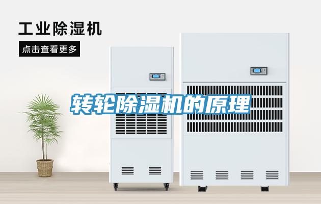 轉輪小黄片软件免费下载的原理
