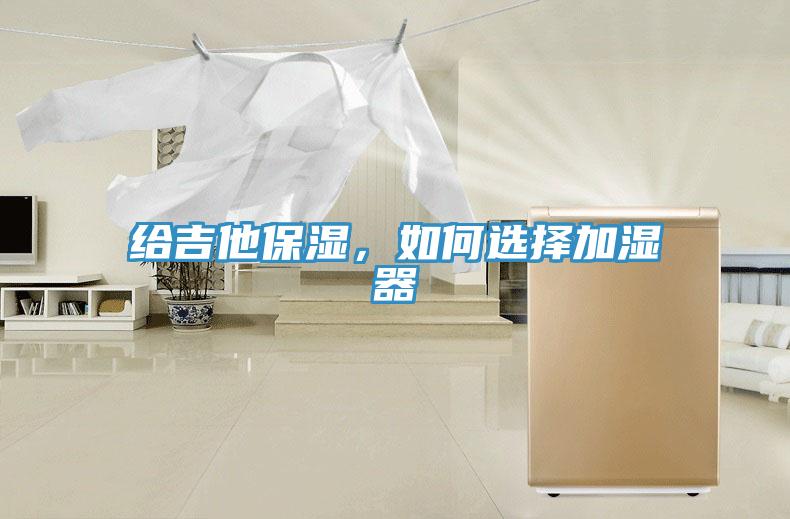 給吉他保濕，如何選擇加濕器