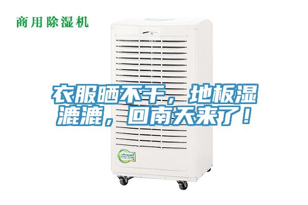 衣服曬不幹，地板濕漉漉，回南天來了！