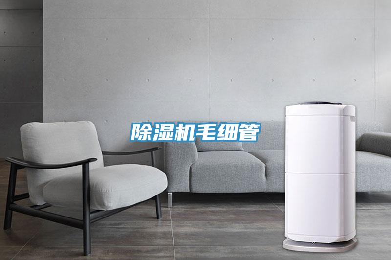 小黄片软件免费下载毛細管