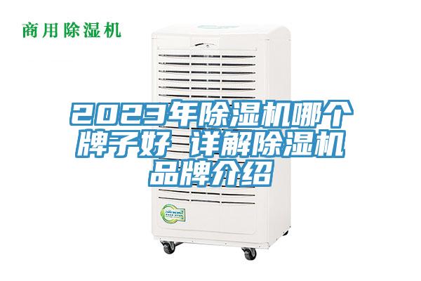 2023年小黄片软件免费下载哪個牌子好 詳解小黄片软件免费下载品牌介紹
