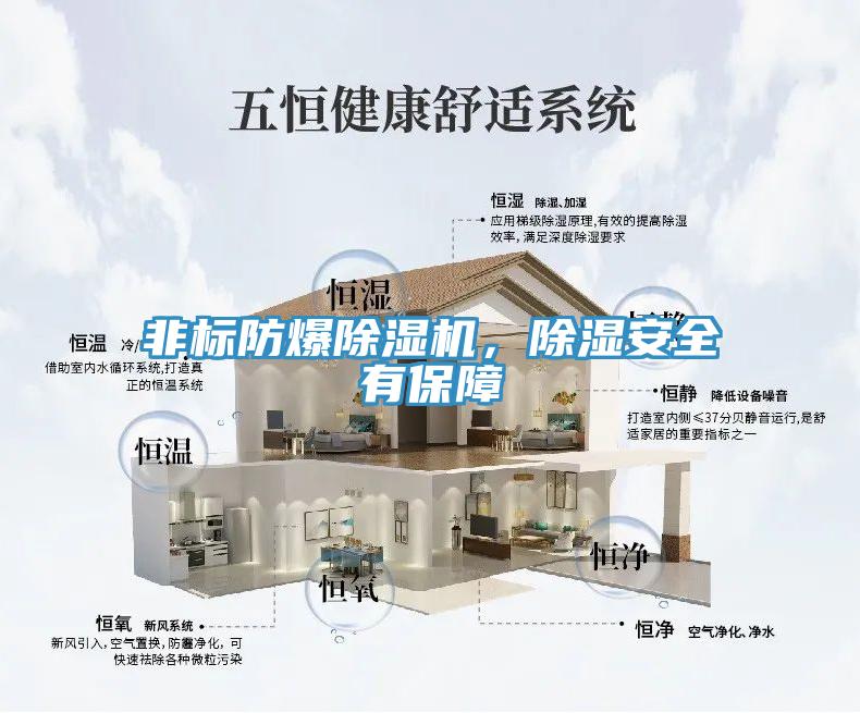 非標防爆小黄片软件免费下载，除濕安全有保障