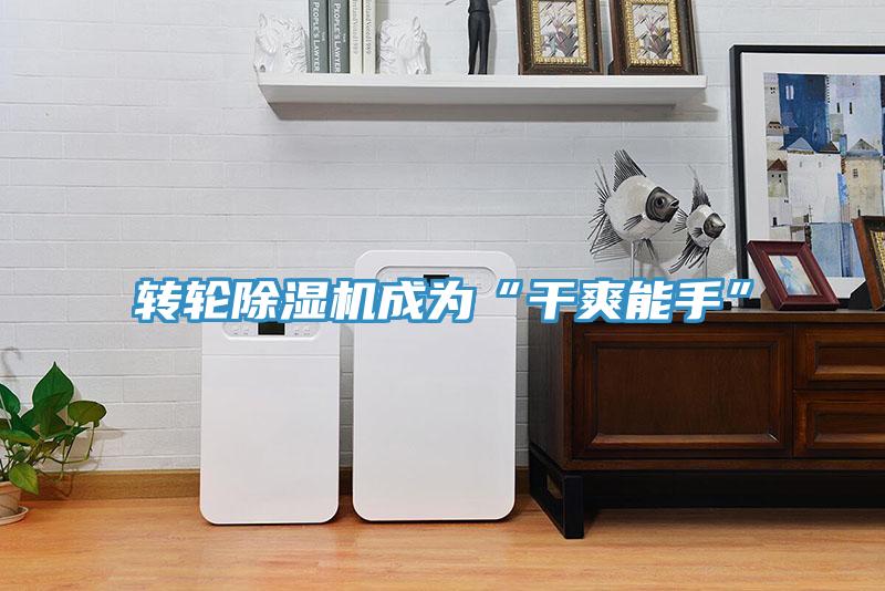 轉輪小黄片软件免费下载成為“幹爽能手”