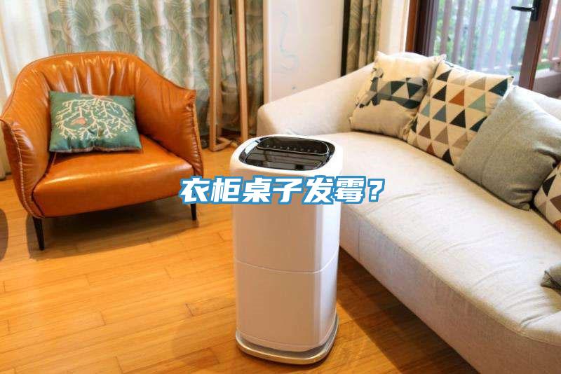 衣櫃桌子發黴？