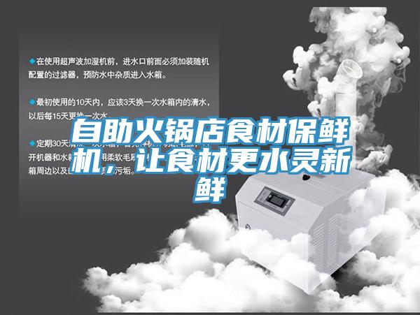 自助火鍋店食材保鮮機，讓食材更水靈新鮮