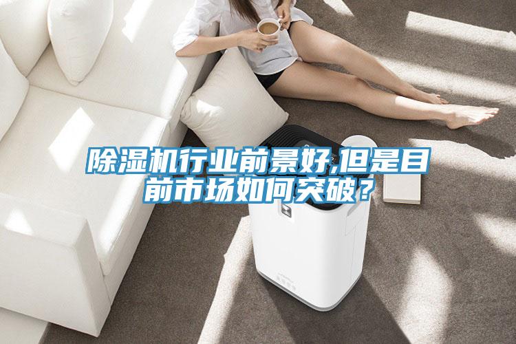 小黄片软件免费下载行業前景好,但是目前市場如何突破？