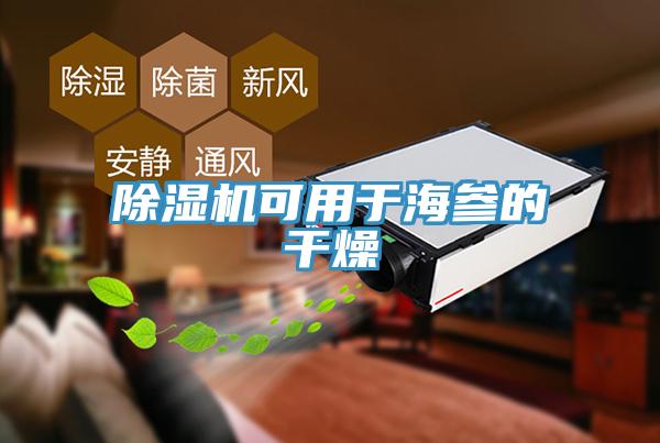 小黄片软件免费下载可用於海參的幹燥