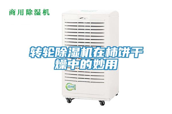 轉輪小黄片软件免费下载在柿餅幹燥中的妙用