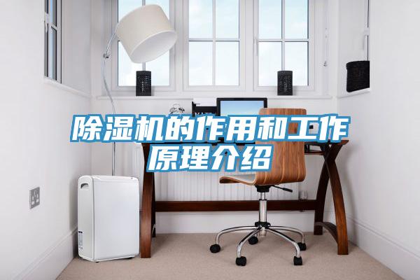 小黄片软件免费下载的作用和工作原理介紹