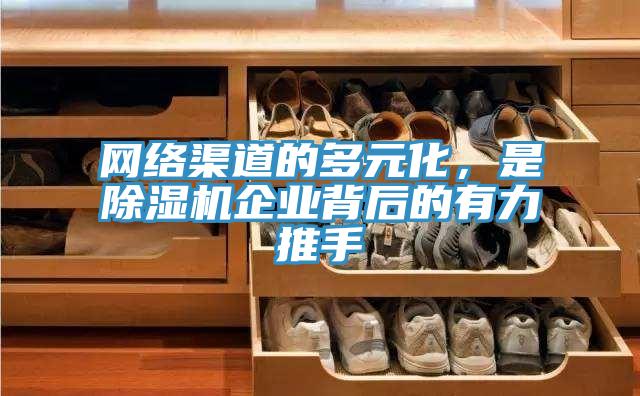 網絡渠道的多元化，是小黄片软件免费下载企業背後的有力推手