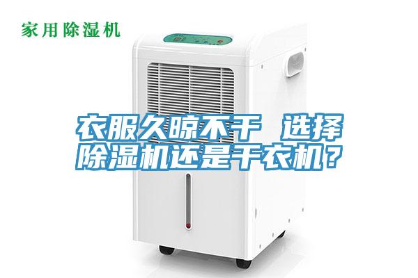 衣服久晾不幹 選擇小黄片软件免费下载還是幹衣機？