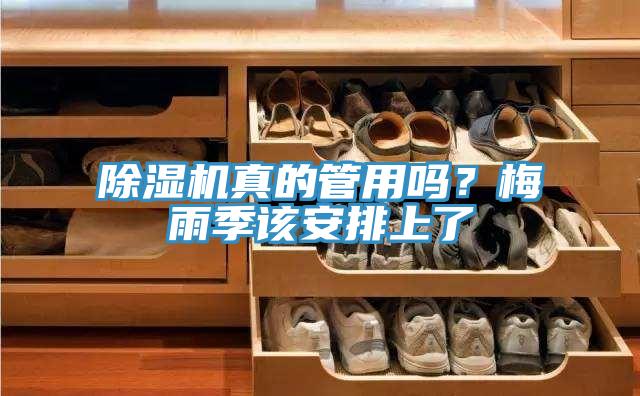 小黄片软件免费下载真的管用嗎？梅雨季該安排上了