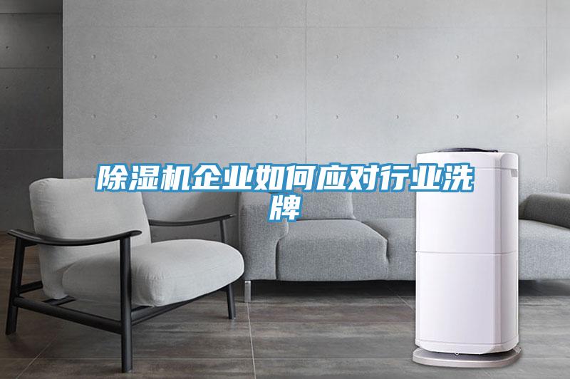 小黄片软件免费下载企業如何應對行業洗牌