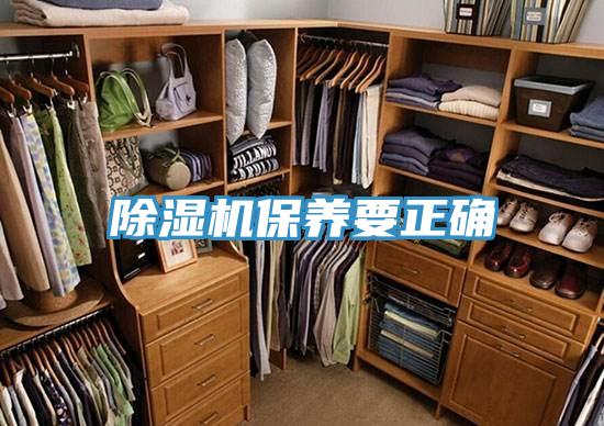 小黄片软件免费下载保養要正確