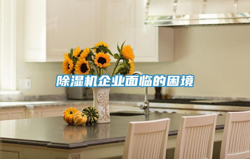 小黄片软件免费下载企業麵臨的困境