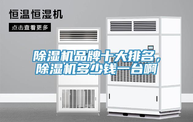 小黄片软件免费下载品牌十大排名，小黄片软件免费下载多少錢一台啊