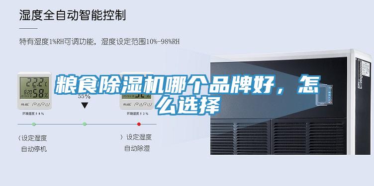 糧食小黄片软件免费下载哪個品牌好，怎麽選擇
