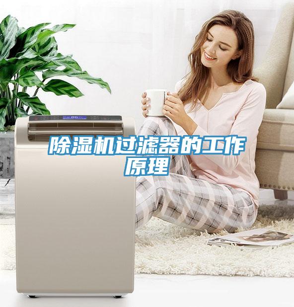小黄片软件免费下载過濾器的工作原理