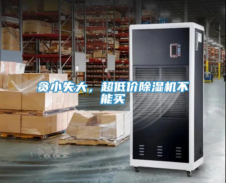 貪小失大，超低價小黄片软件免费下载不能買