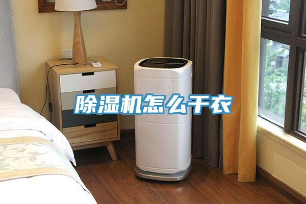 小黄片软件免费下载怎麽幹衣