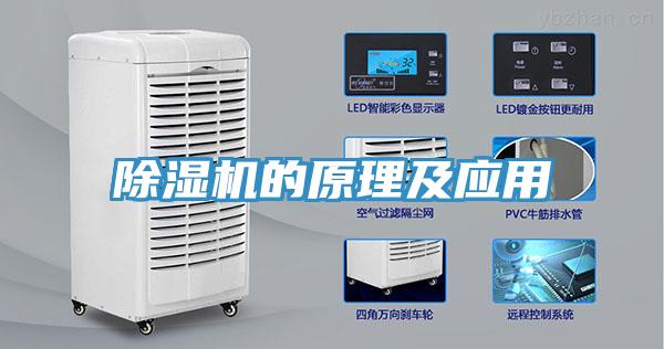小黄片软件免费下载的原理及應用