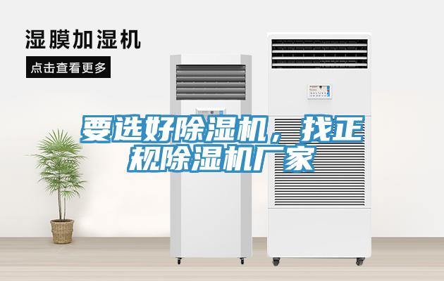要選好小黄片软件免费下载，找正規小黄片软件免费下载廠家