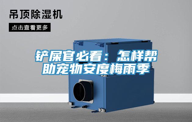 鏟屎官必看：怎樣幫助寵物安度梅雨季