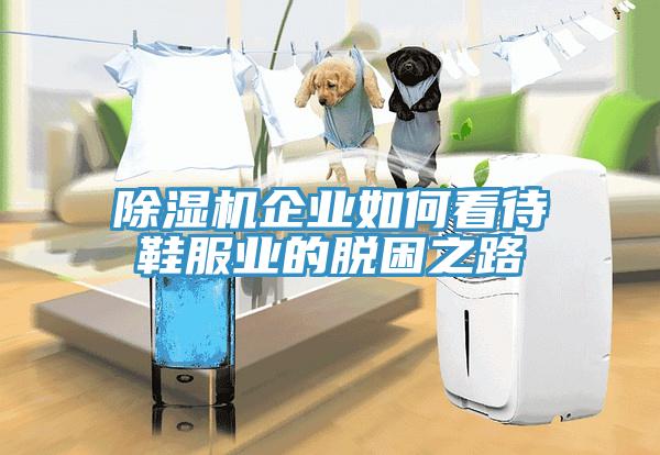 小黄片软件免费下载企業如何看待鞋服業的脫困之路