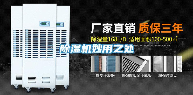 小黄片软件免费下载妙用之處