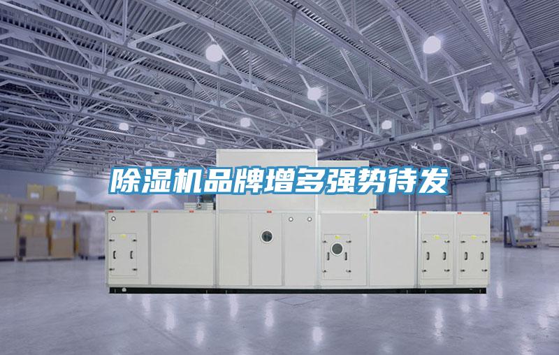 小黄片软件免费下载品牌增多強勢待發
