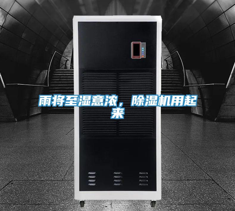 雨將至濕意濃，小黄片软件免费下载用起來
