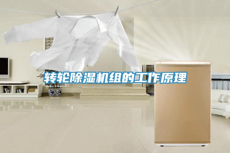 轉輪小黄片软件免费下载組的工作原理