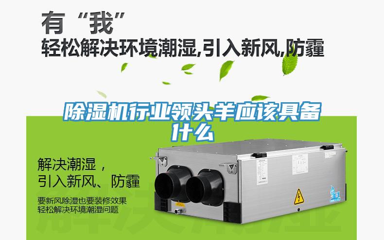 小黄片软件免费下载行業領頭羊應該具備什麽