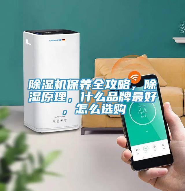 小黄片软件免费下载保養全攻略，除濕原理，什麽品牌最好，怎麽選購
