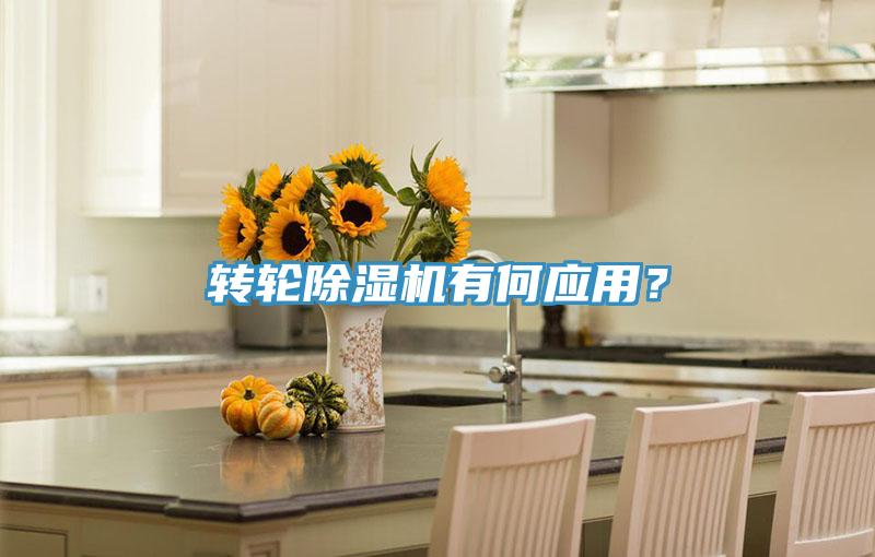 轉輪小黄片软件免费下载有何應用？