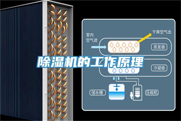 小黄片软件免费下载的工作原理