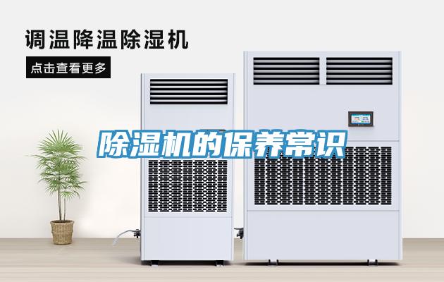 小黄片软件免费下载的保養常識
